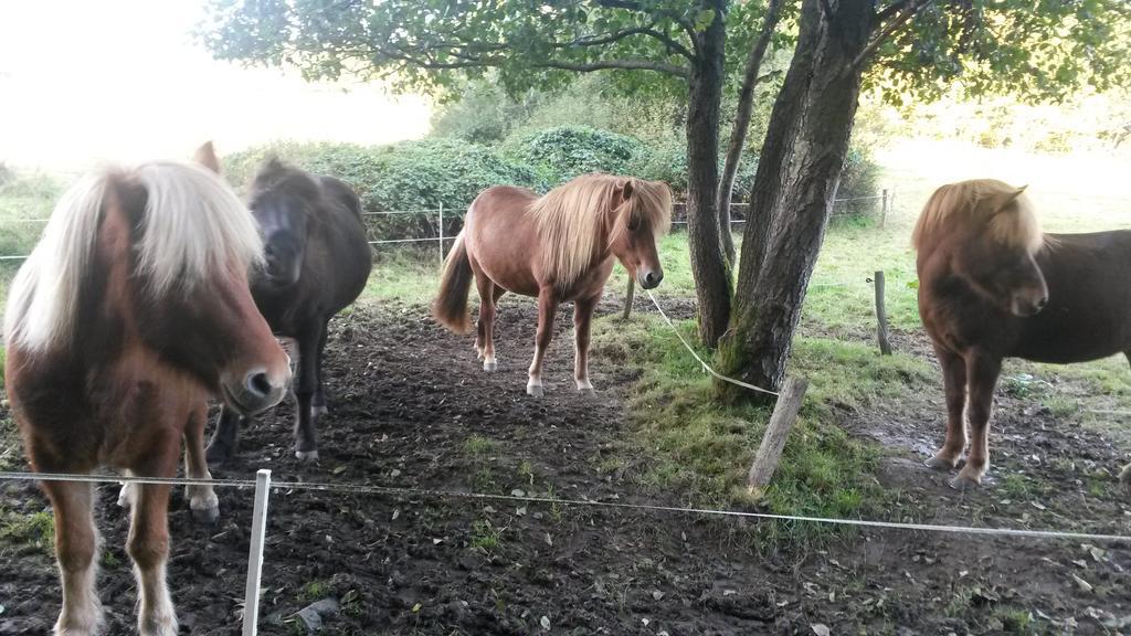 Ferienwohnung Am Zeitenweg Windeck Esterno foto